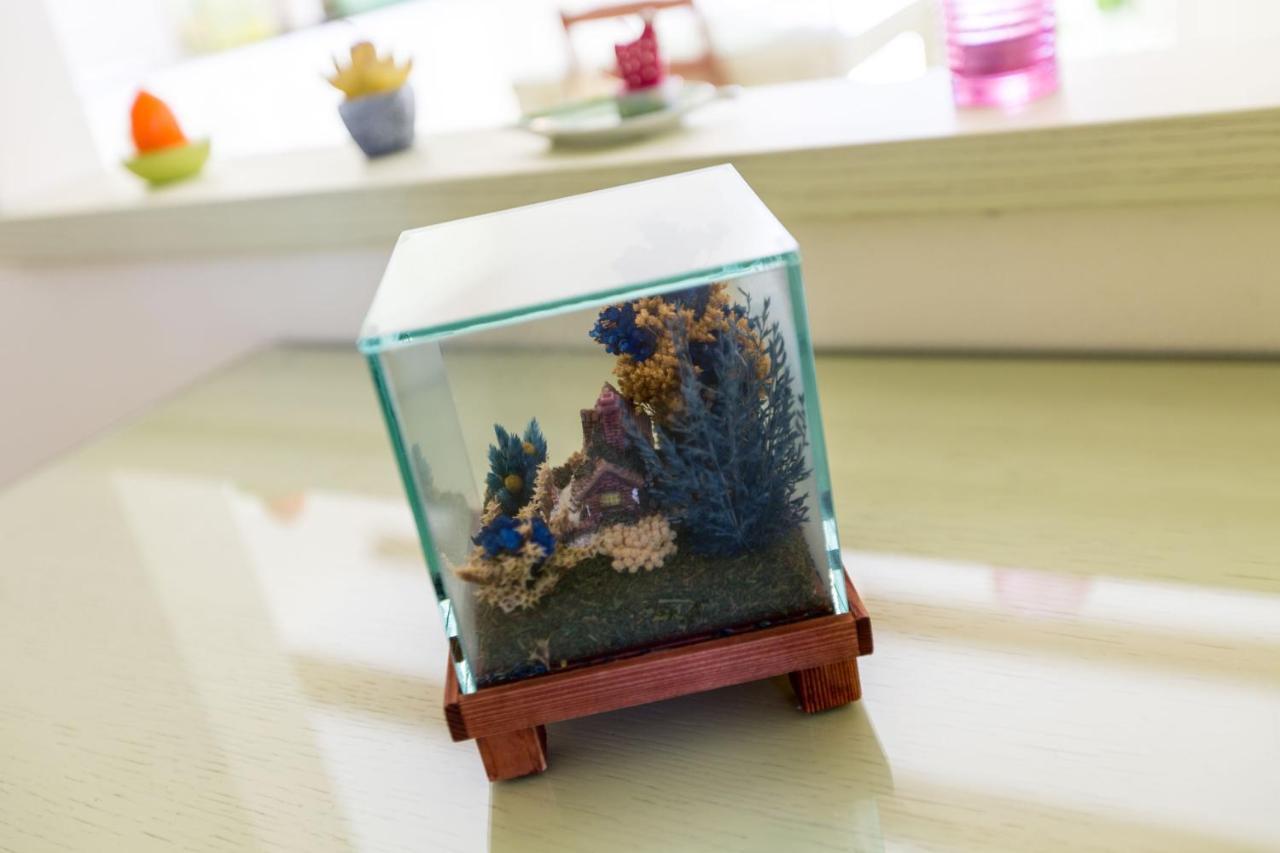 Apartments Casa Saina ロヴィニ エクステリア 写真